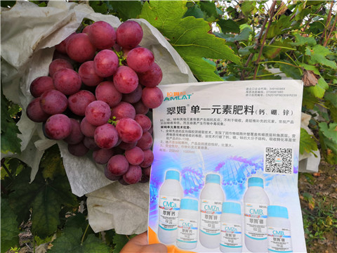 水溶肥，鈣肥，硼肥