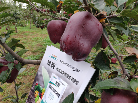 微生物菌劑，