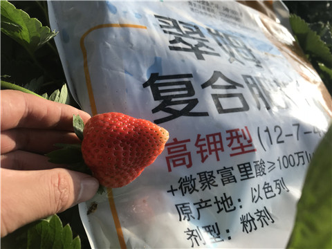 水溶，拉姆拉，翠姆