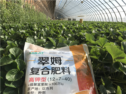 水溶，拉姆拉，翠姆