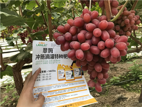 沖施肥，拉姆拉