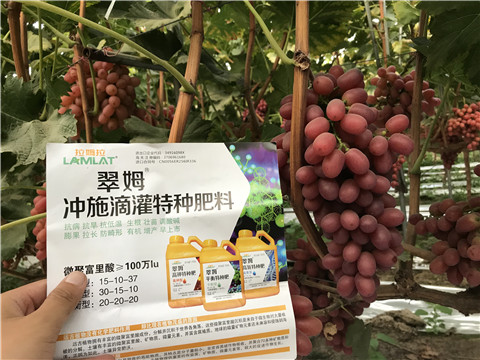 沖施肥，拉姆拉