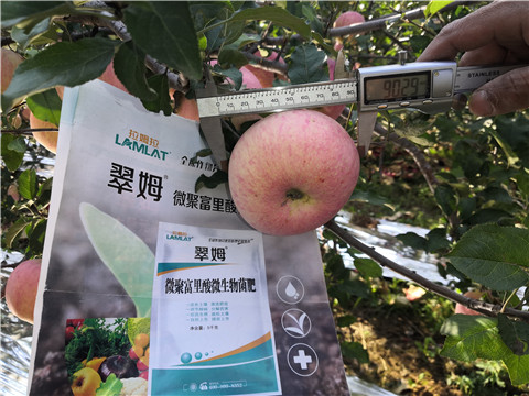 水溶肥，磷酸二氫鉀，微生物菌劑