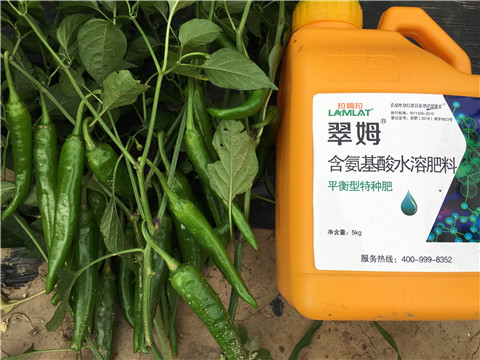根碧多，微生物菌，葉面肥