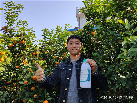 硼肥，拉姆拉