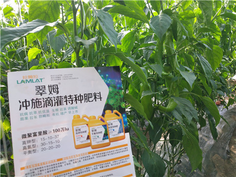水溶肥，硼肥