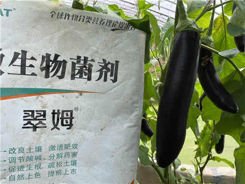 微生物菌劑，拉姆拉
