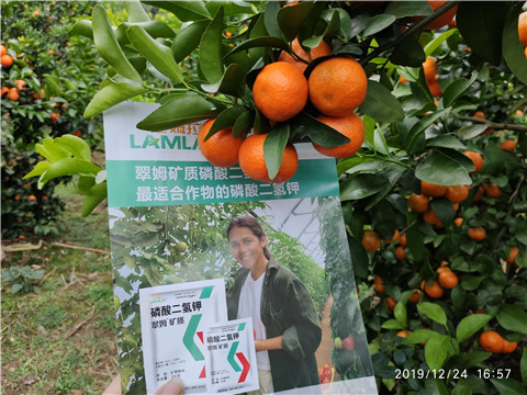 磷酸二氫鉀，鈣肥，硼肥