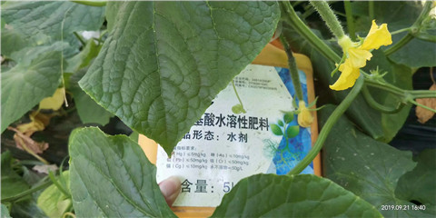 水溶肥，翠姆