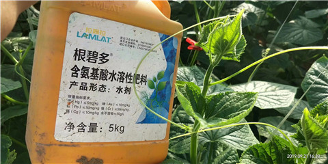 水溶肥，翠姆
