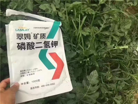 磷酸二氫鉀，硼肥，沖施肥