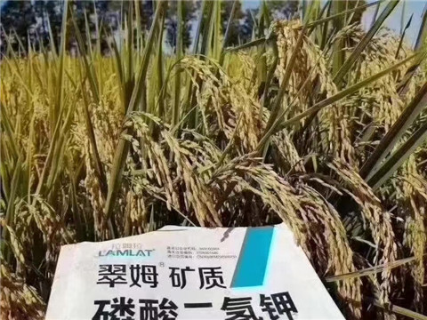 磷酸二氫鉀，翠姆