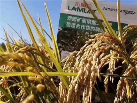 磷酸二氫鉀，翠姆