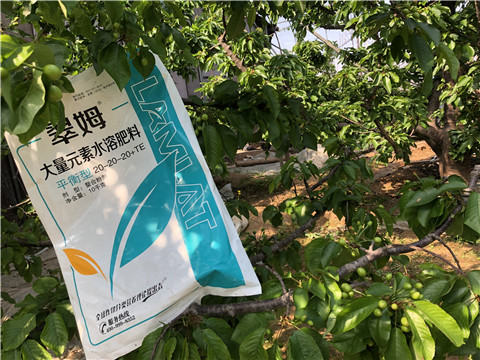 大量元素水溶肥，磷酸二氫鉀，硼肥