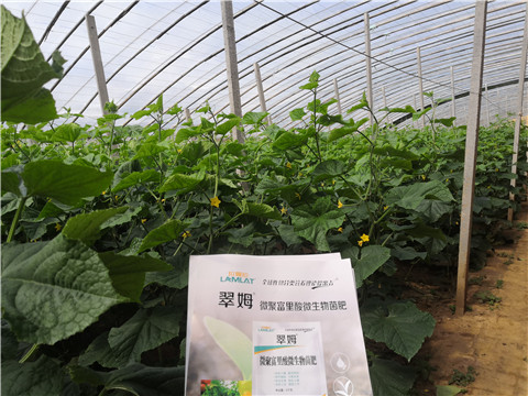 微生物菌劑，拉姆拉