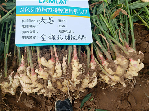 水溶肥，微生物菌劑，拉姆拉