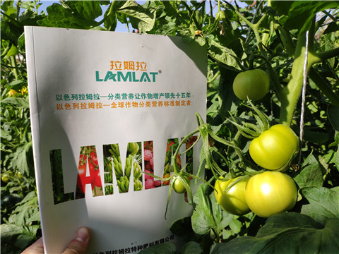 微生物菌劑，拉姆拉，伯示麥