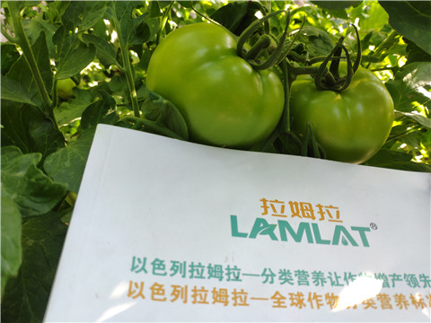 微生物菌劑，拉姆拉，伯示麥