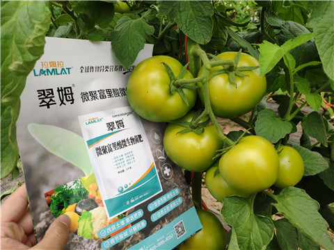 葉面肥，微生物菌劑，磷酸二氫鉀