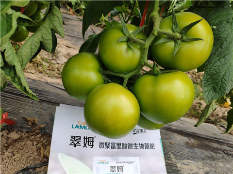 葉面肥，微生物菌劑，磷酸二氫鉀