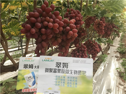 微生物菌劑，硼肥，鈣肥