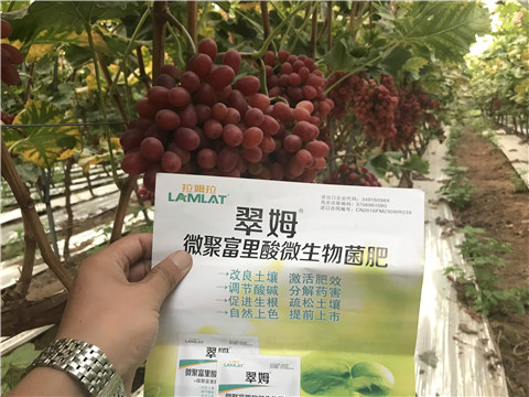 微生物菌劑，硼肥，鈣肥