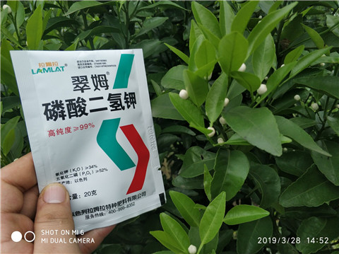 磷酸二氫鉀，硼肥，拉姆拉