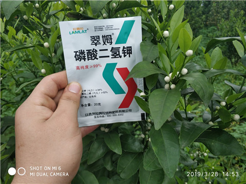 磷酸二氫鉀，硼肥，拉姆拉
