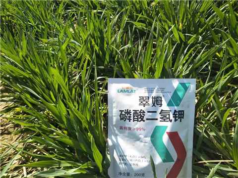 磷酸二氫鉀，葉面肥，拉姆拉