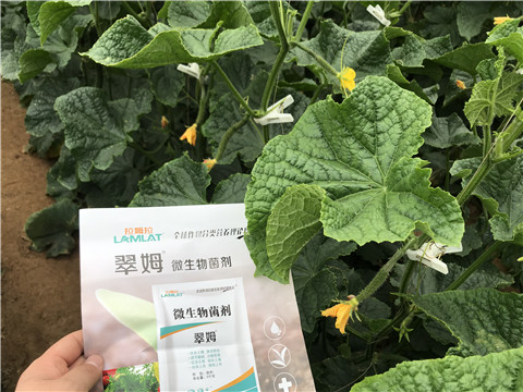 微生物菌劑，水溶肥，拉姆拉