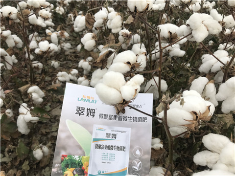 微生物菌劑，根碧多，拉姆拉