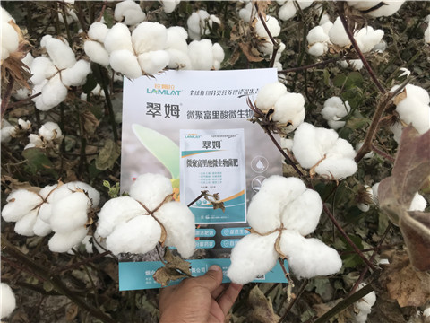微生物菌劑，根碧多，拉姆拉
