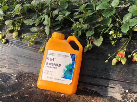 根碧多，微生物菌劑，拉姆拉