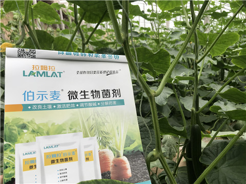 微生物菌劑，生根劑，拉姆拉