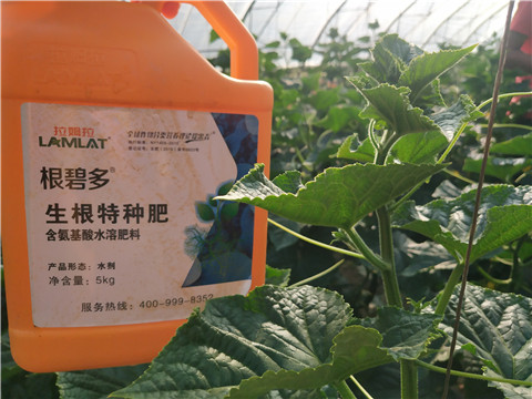 根碧多，磷酸二氫鉀，拉姆拉