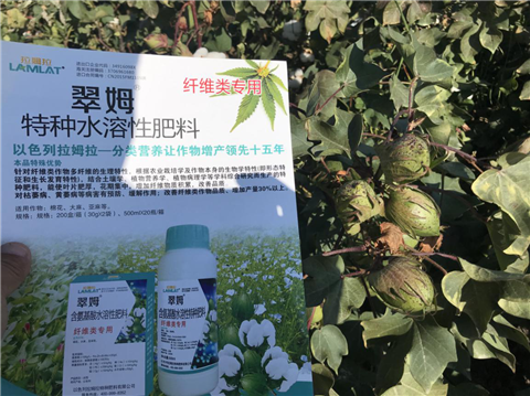 葉面肥，拉姆拉