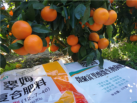 水溶肥，拉姆拉