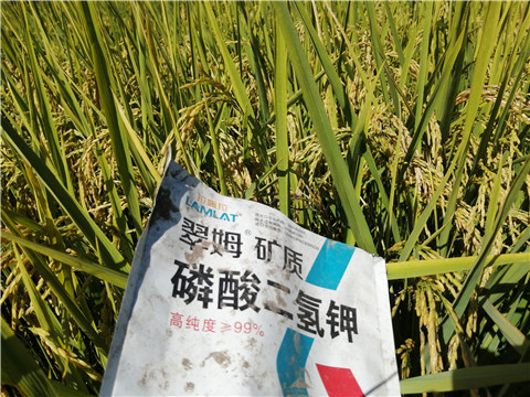 磷酸二氫鉀，翠姆，拉姆拉