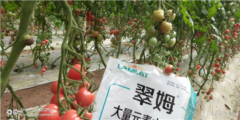 水溶肥，翠姆，拉姆拉