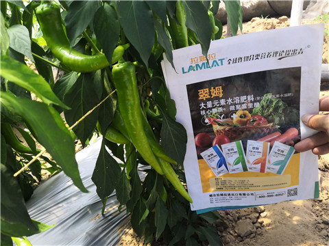 復(fù)合肥料，拉姆拉
