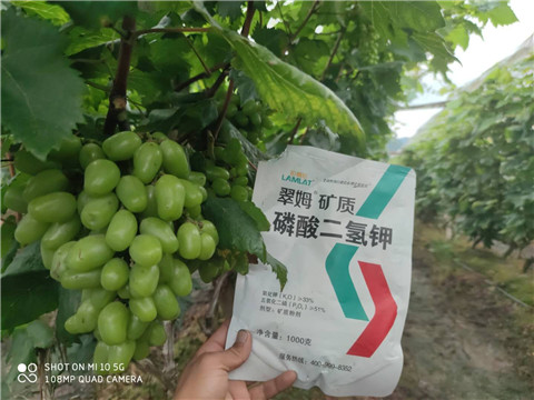 磷酸二氫鉀，拉姆拉