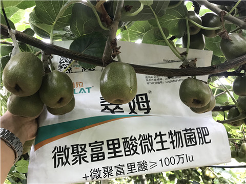 微生物菌劑，翠姆，拉姆拉