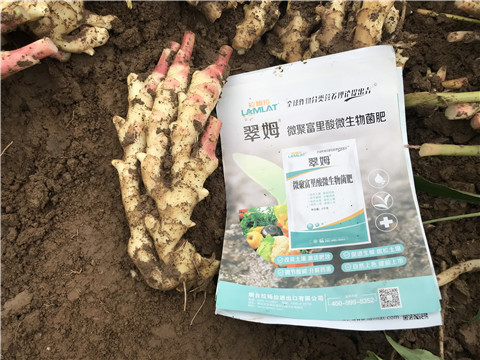 微生物菌劑，翠姆，拉姆拉