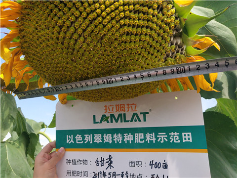 水溶肥，微生物菌劑，拉姆拉