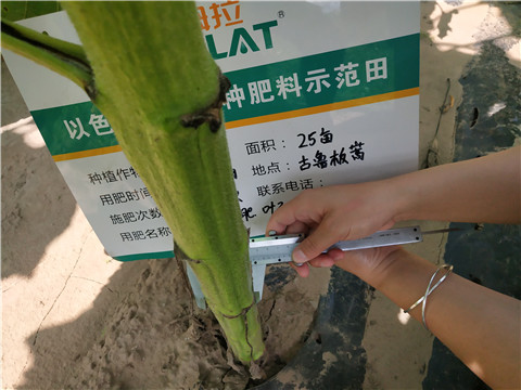 水溶肥，微生物菌劑，拉姆拉