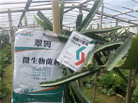 磷酸二氫鉀，翠姆，拉姆拉