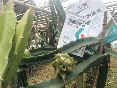 磷酸二氫鉀，翠姆，拉姆拉