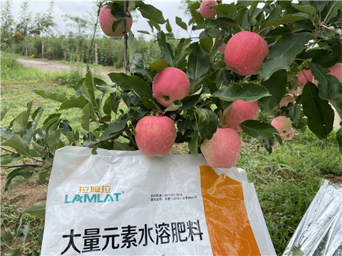 水溶肥，翠姆，拉姆拉