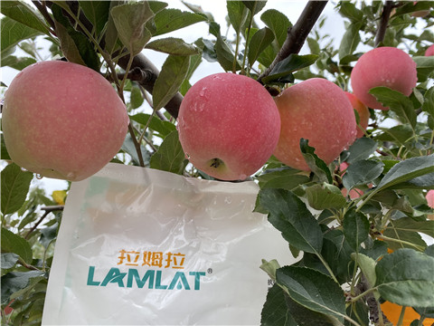 水溶肥，翠姆，拉姆拉