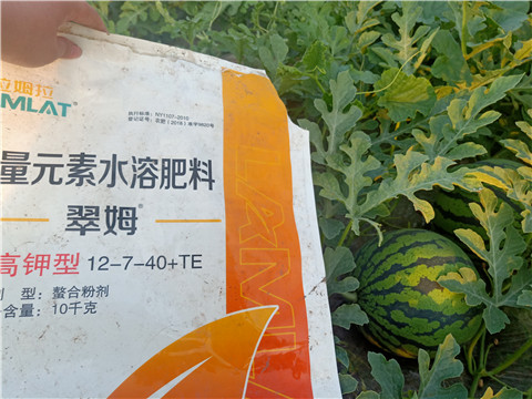 水溶肥，拉姆拉，翠姆